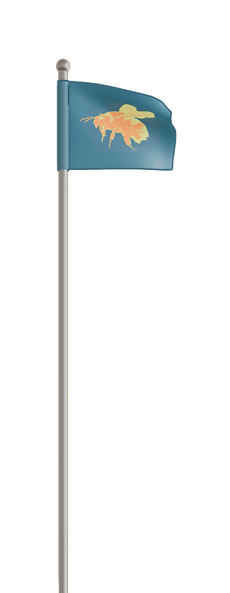 Flag